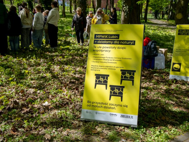 Pszczoły krainki nowymi mieszkańcami zoo - 2
