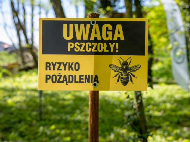 Pszczoły krainki nowymi mieszkańcami zoo - 3